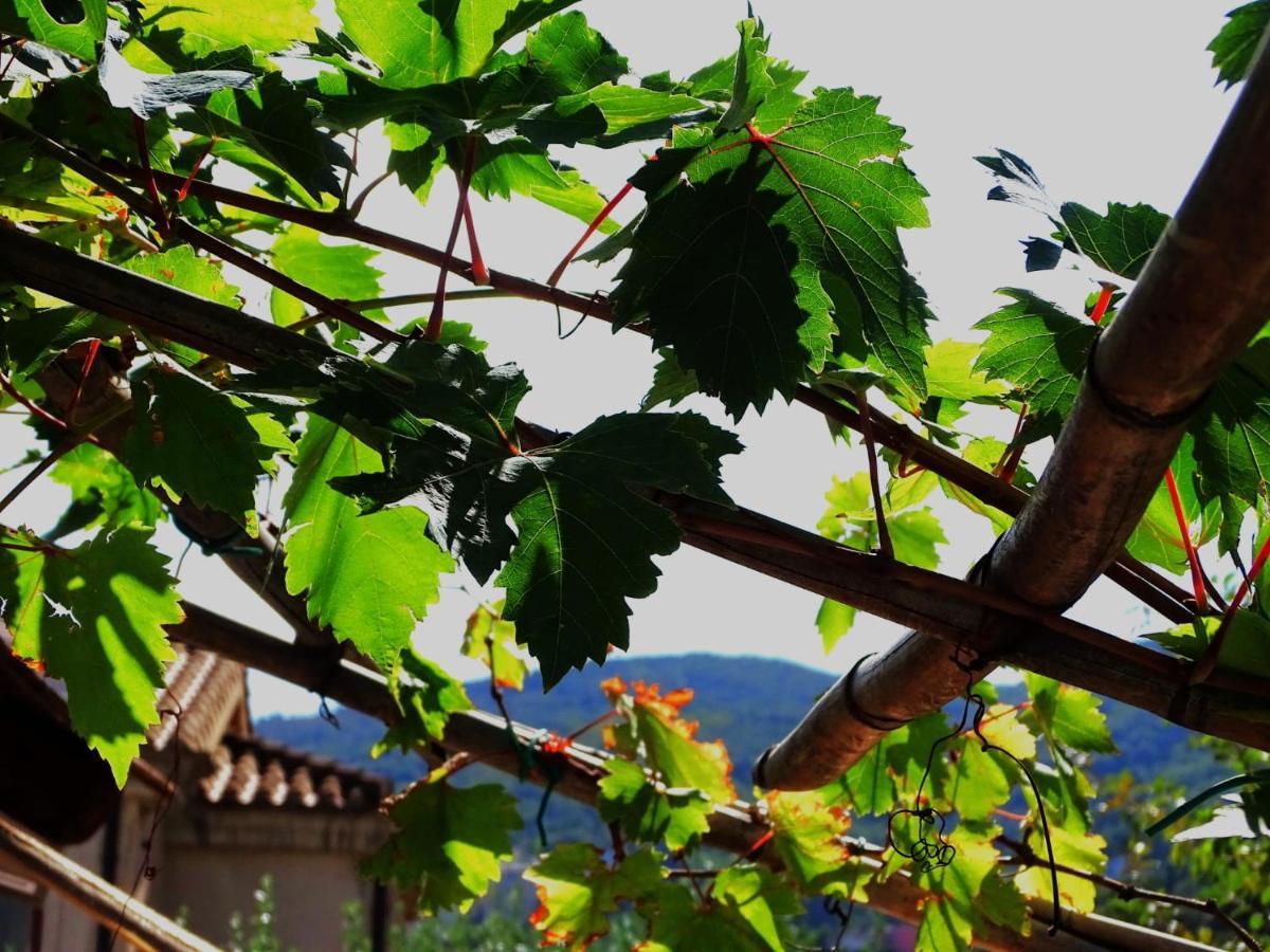 Le Sorgenti Guest House Ilbono Exterior photo