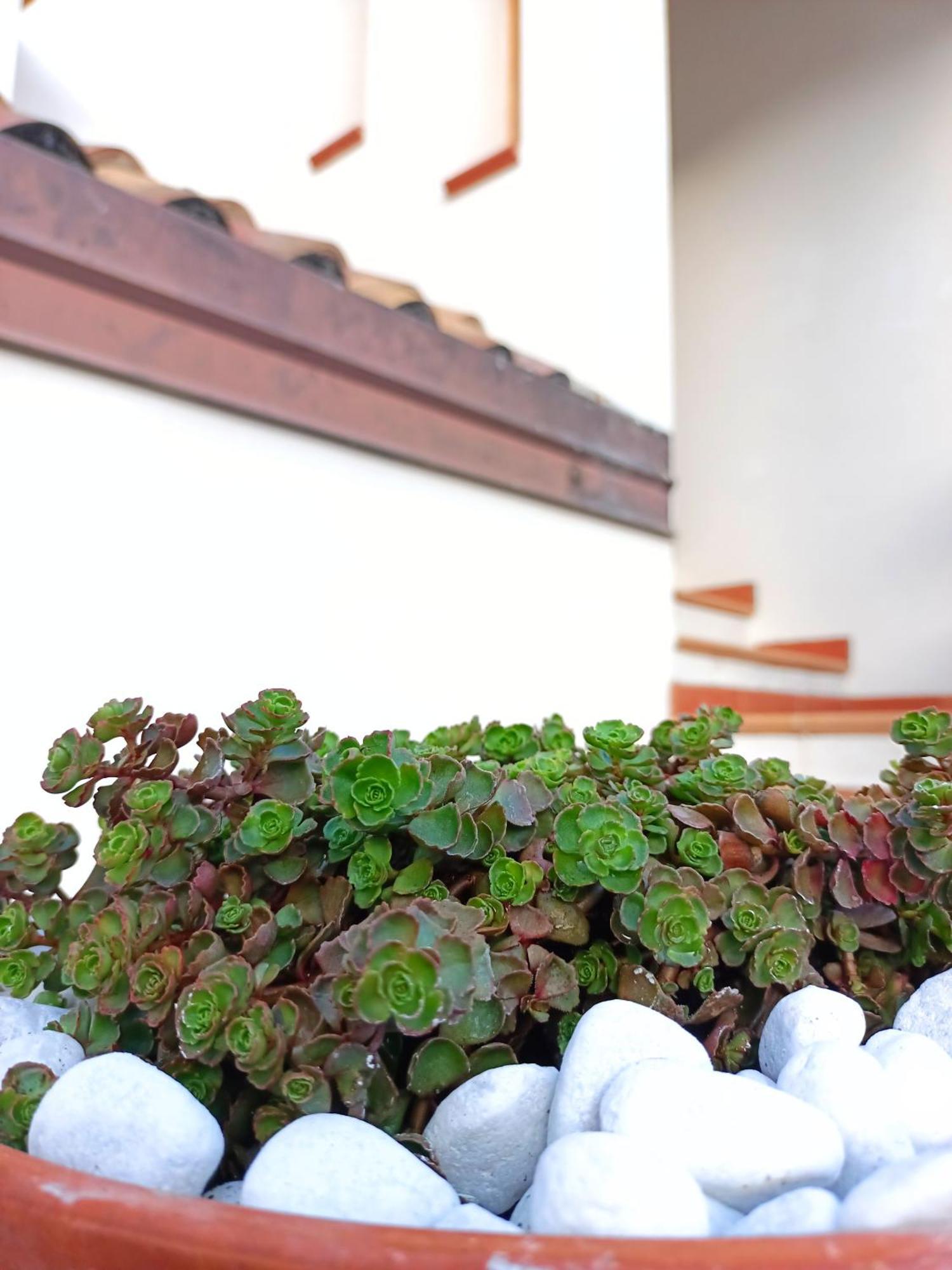 Le Sorgenti Guest House Ilbono Exterior photo